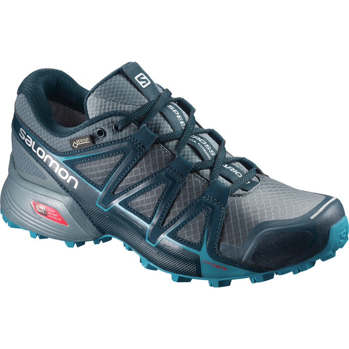 Salomon Singapore Womens Trail Running Shoes - SPEEDCROSS VARIO 2 GTX® W Silver | 56470-TMEG